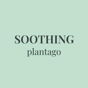 Soothing Plantago